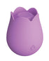 ROMP Jazz Rechargeable Silicone Rabbit Vibrator Berry Tester