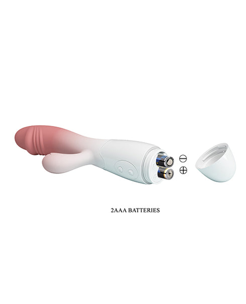 njoy Disco