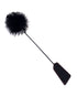 IBIC2531