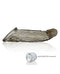 Bathmate Shower Strap