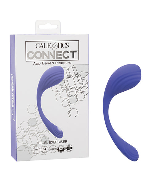 Luv Inc. Sp41: Luv Plug Purple Small