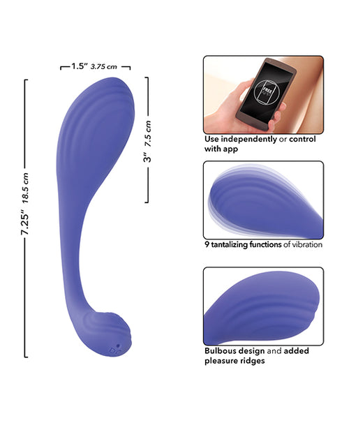 Luv Inc. Sp41: Luv Plug Purple Small