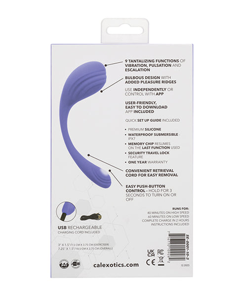 Luv Inc. Sp41: Luv Plug Purple Small
