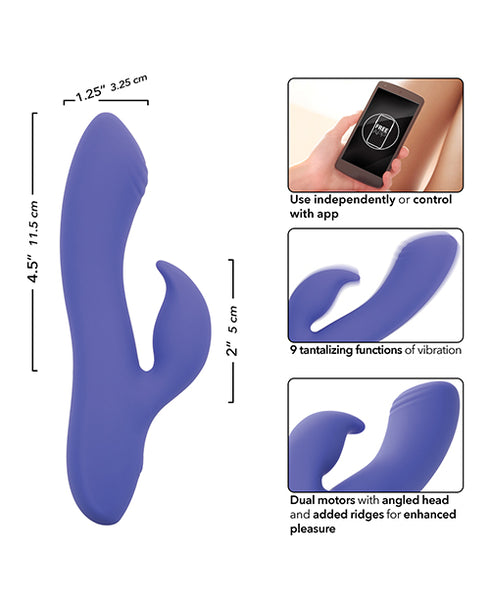 Luv Inc. Lp41: Luv Plug Purple Large
