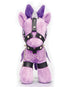 XRAH821-PURPLE