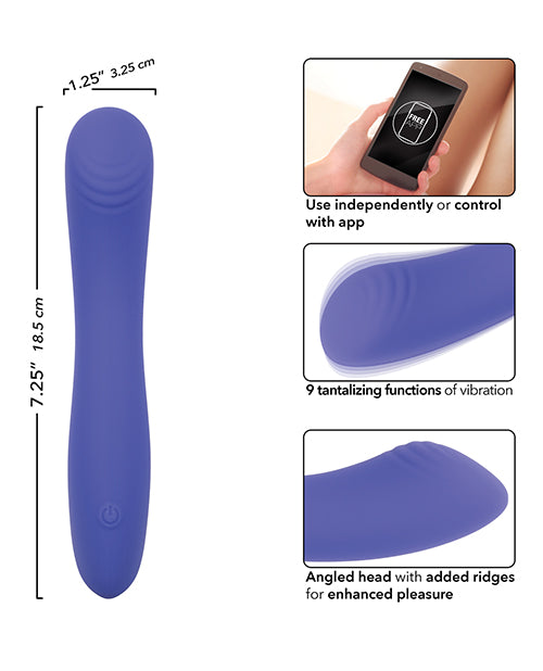 Luv Inc. Mp41: Luv Plug Purple Medium