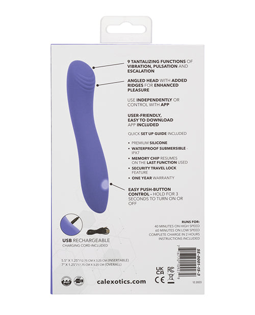 Luv Inc. Mp41: Luv Plug Purple Medium