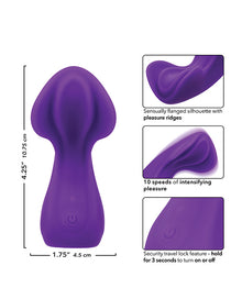 Shell Yeah! Remote Controlled Wearable Panty Vibrator